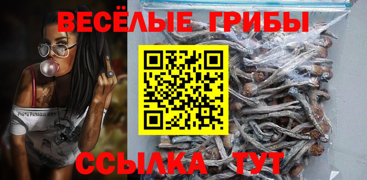 Псилоцибиновые грибы ЛСД Горно-Алтайск