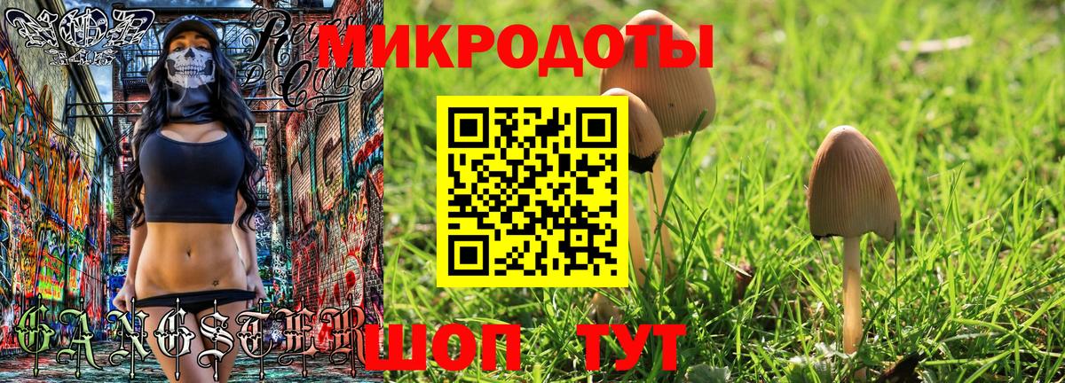 купить наркотики цена  Псилоцибиновые грибы Magic Shrooms  Вход с VPN  Горно-Алтайск 