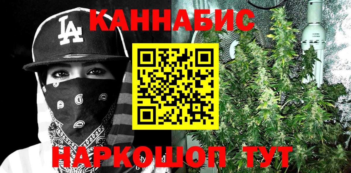 Конопля AK-47 Горно-Алтайск